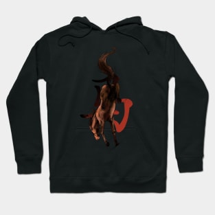 Chinese Zodiac: The Horse Hoodie